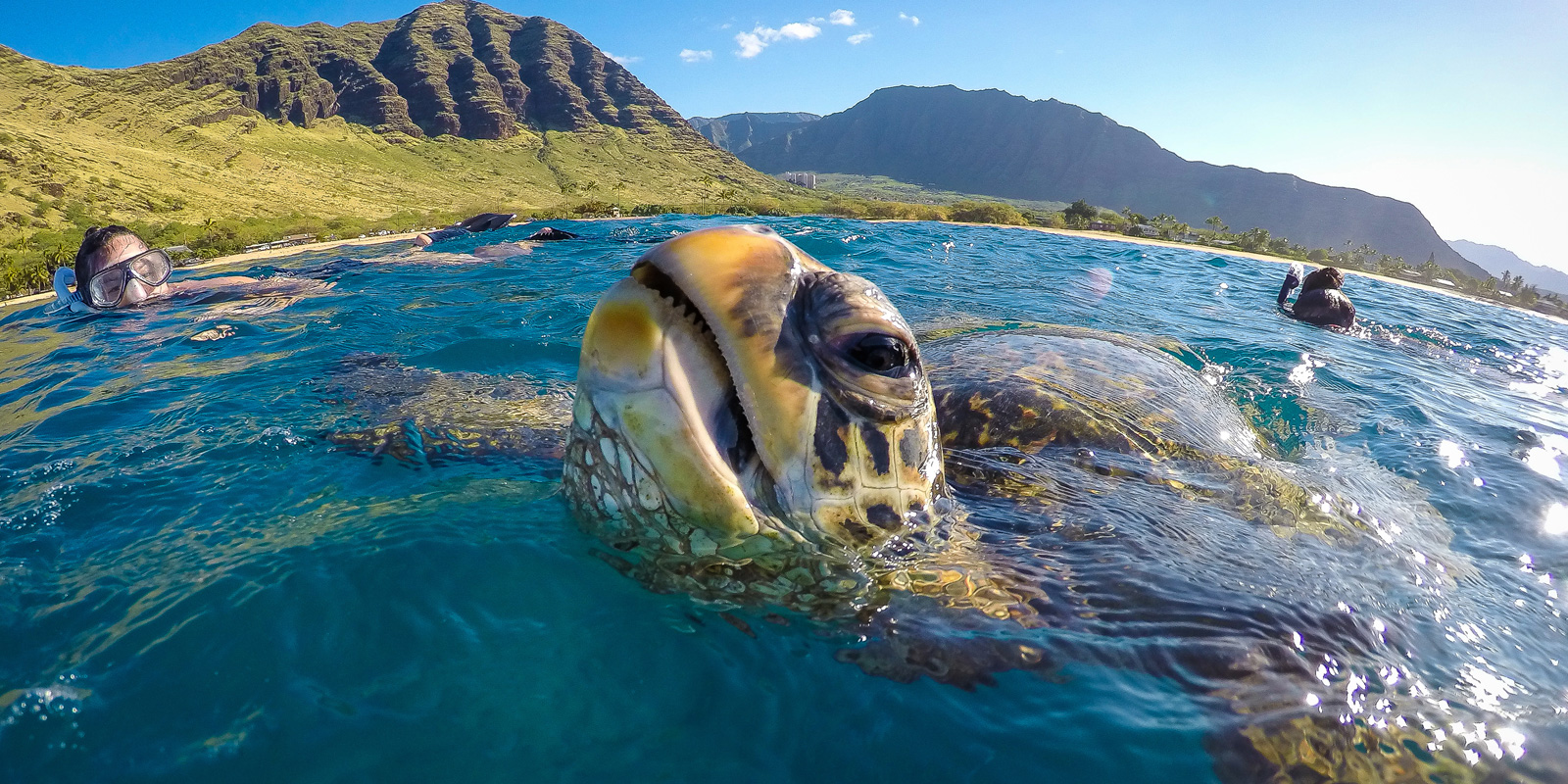 ko olina marina catamaran